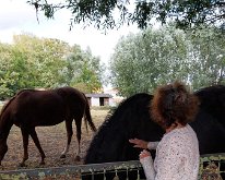 PHOTO-2025-09-04-11-48-36