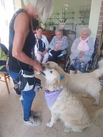 Animation canine, photo 7 sur 13