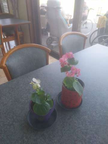 Bricolage et bons moments, photo 18 sur 28