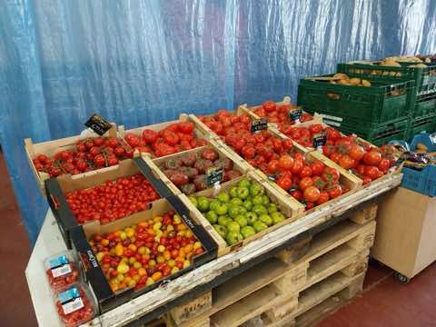 Dégustation de fruits, photo 10 sur 31