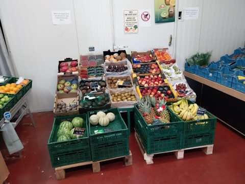 Dégustation de fruits, photo 29 sur 31
