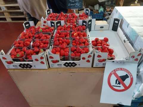 Dégustation de fruits, photo 30 sur 31