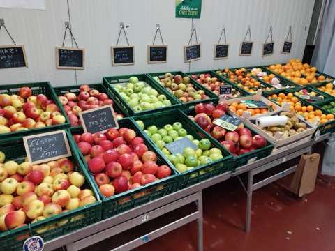 Dégustation de fruits, photo 31 sur 31