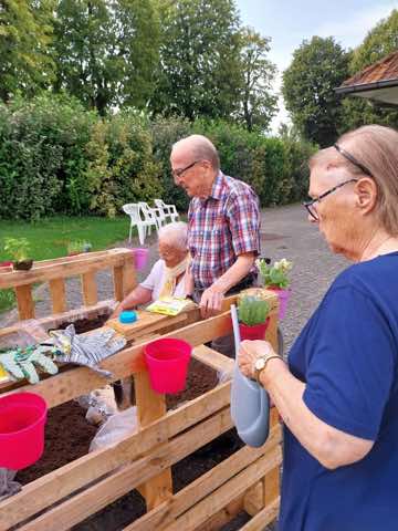 Jardinage, photo 4 sur 11