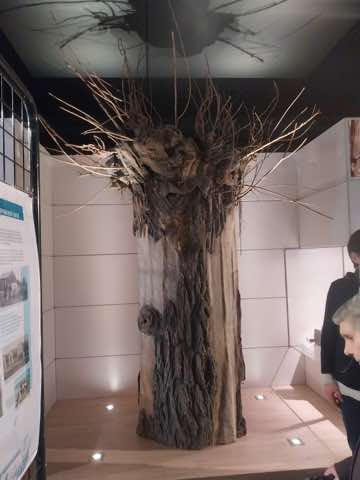 Musée Plugstreet, photo 23 sur 36